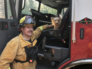 Redwood City firefighters' Camp Fire pet rescue