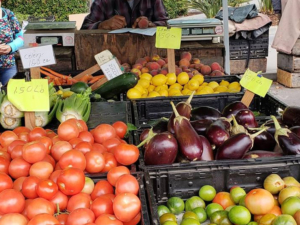 Redwood City Kiwanis Farmers Market set to open April 20
