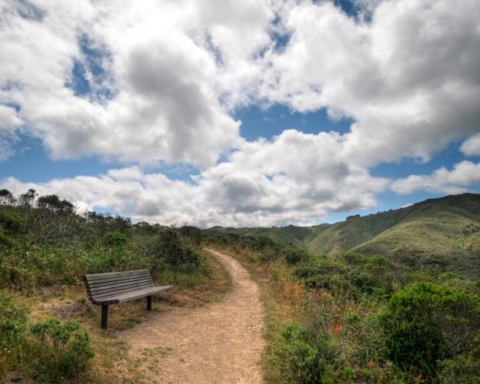 More San Mateo County parks and trails reopen today