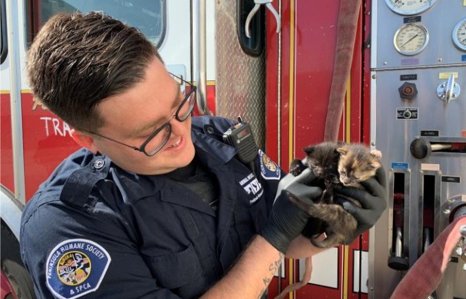 PHS/SPCA: Kittens found living fire engine truck compartment