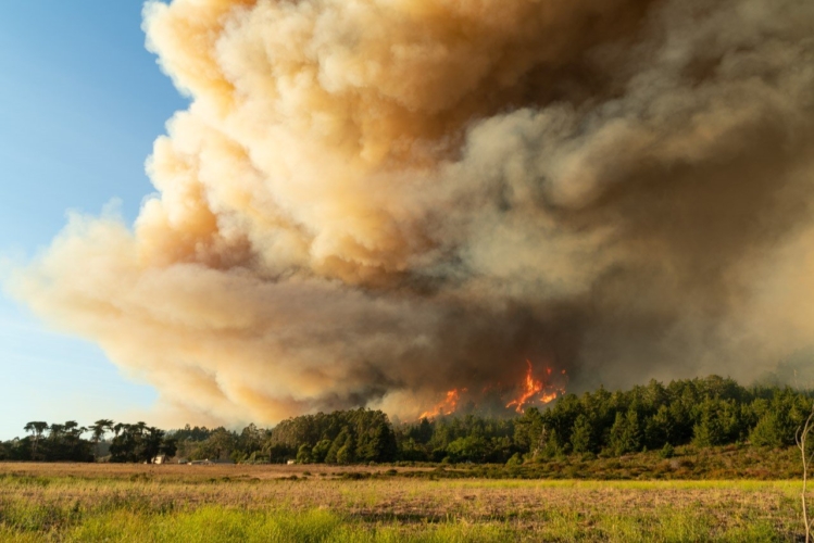 Czu Lightning Complex Fires Grow To 48000 Acres 20952 Structures Threatened Climate Online 