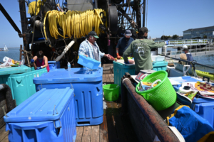 Mini-Fisherman's Wharf reels in public at Port of Redwood City