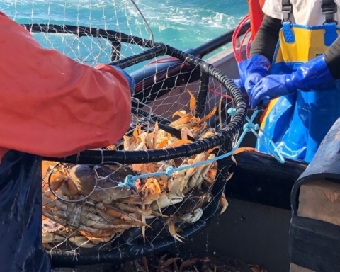 State delays start to commercial crabbing off Northern California coast