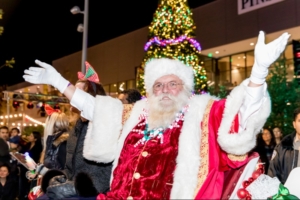Tree lighting to kick off slew of holiday activities at Hillsdale Shopping Center