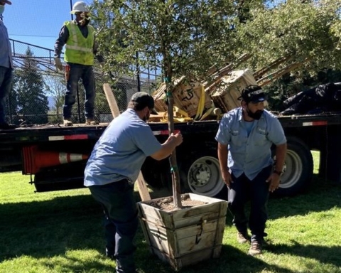 CityTrees teams with school district on volunteer planting at Adelante Selby campus