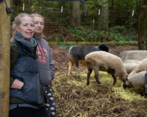 Animal Farm A family’s home in the hills becomes a haven for animals in distress